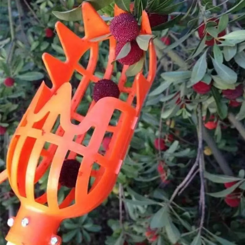 Grab your 1Pc Metal Cherry Picker Tool! π Harvest fruits effortlessly with this handy Fruit Picker Basket Head! Perfect for garden enthusiasts! π³β¨