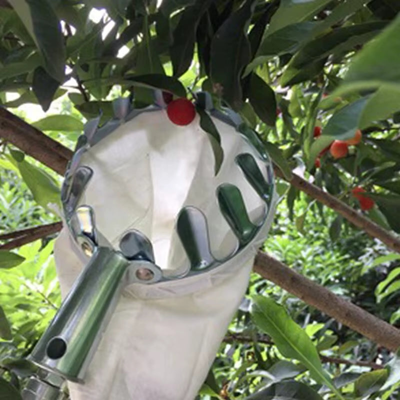 Grab your 1Pc Metal Cherry Picker Tool! π Harvest fruits effortlessly with this handy Fruit Picker Basket Head! Perfect for garden enthusiasts! π³β¨